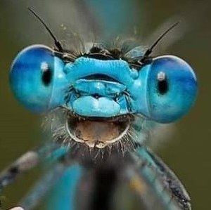 Meet your Posher, Jody